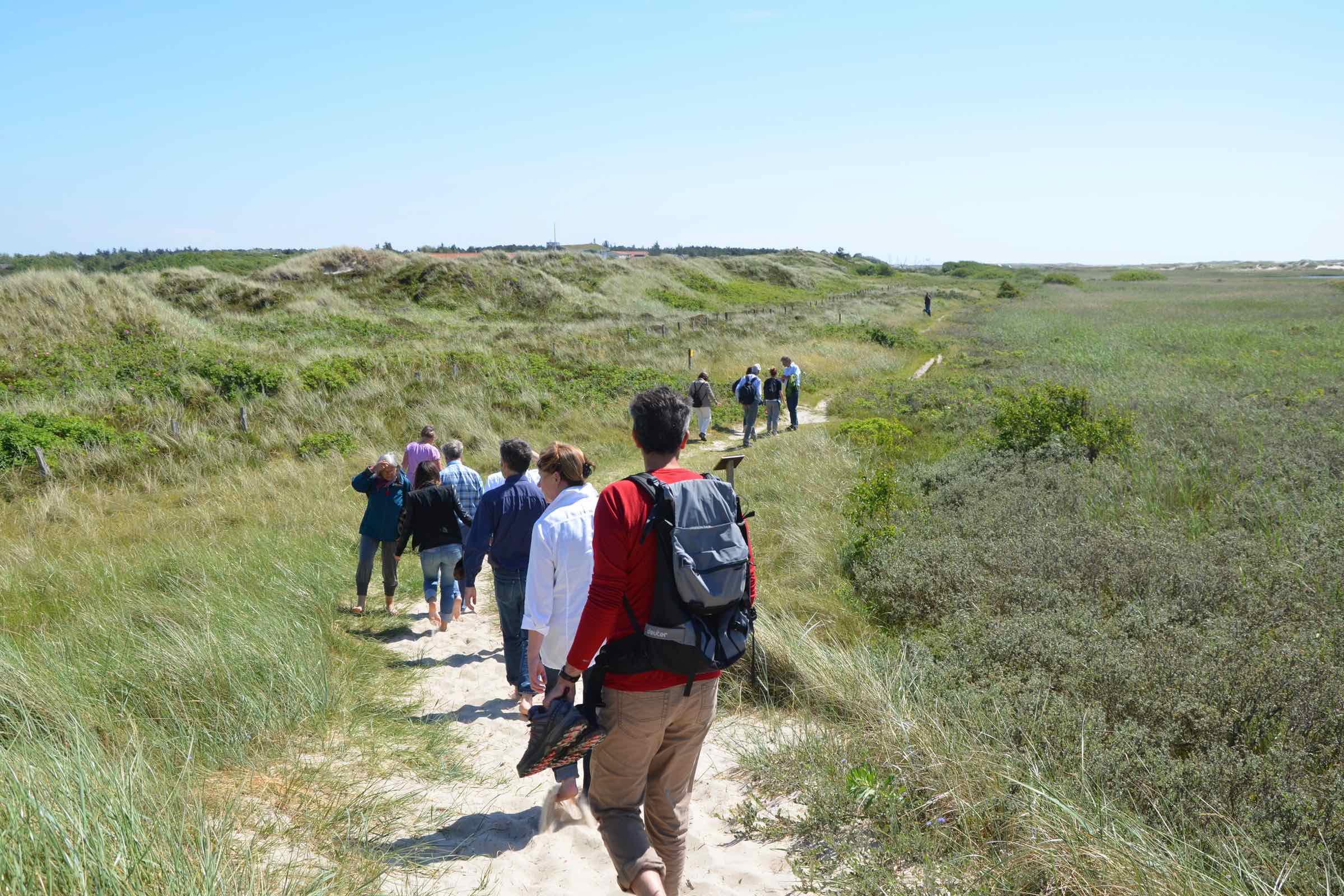Entdecken Sie, wie Strandhafer, Sand und Seewind die Dünenlandschaft in St. Peter-Ording gestalten. Naturkundliche Führung mit der Schutzstation Wattenmeer.