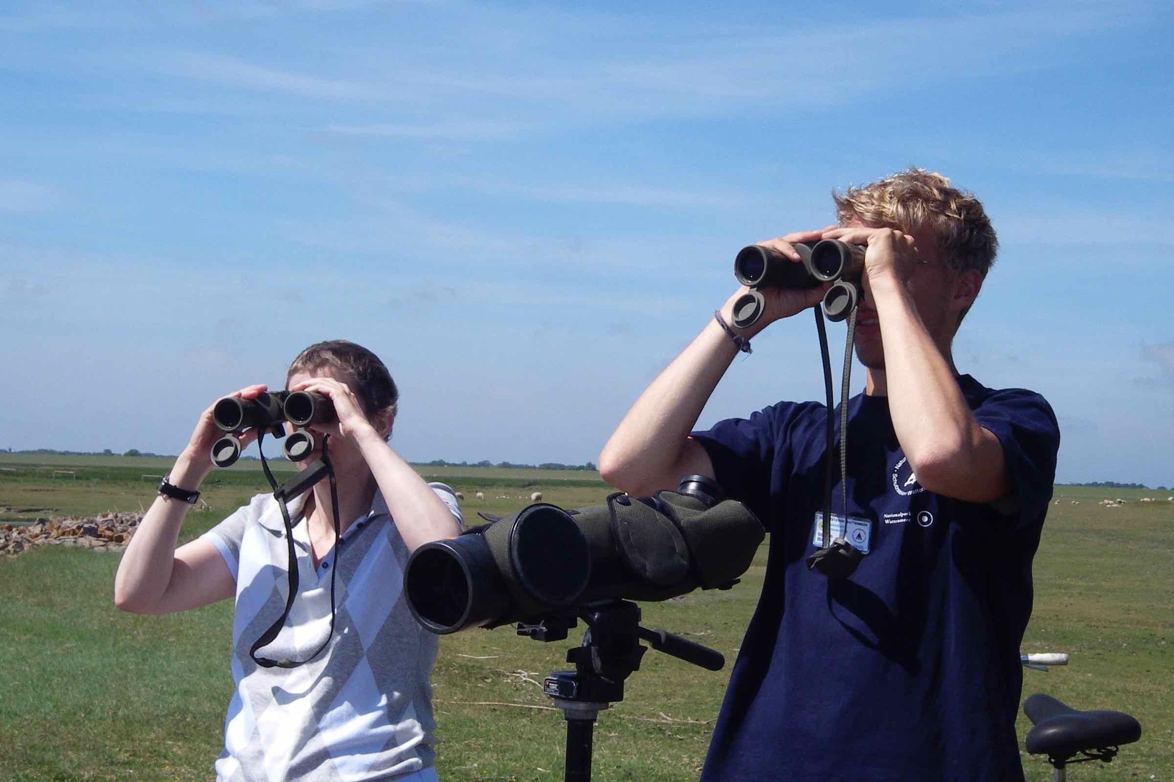 Wanderung: Vogelbeobachtung vom Deich in Ording