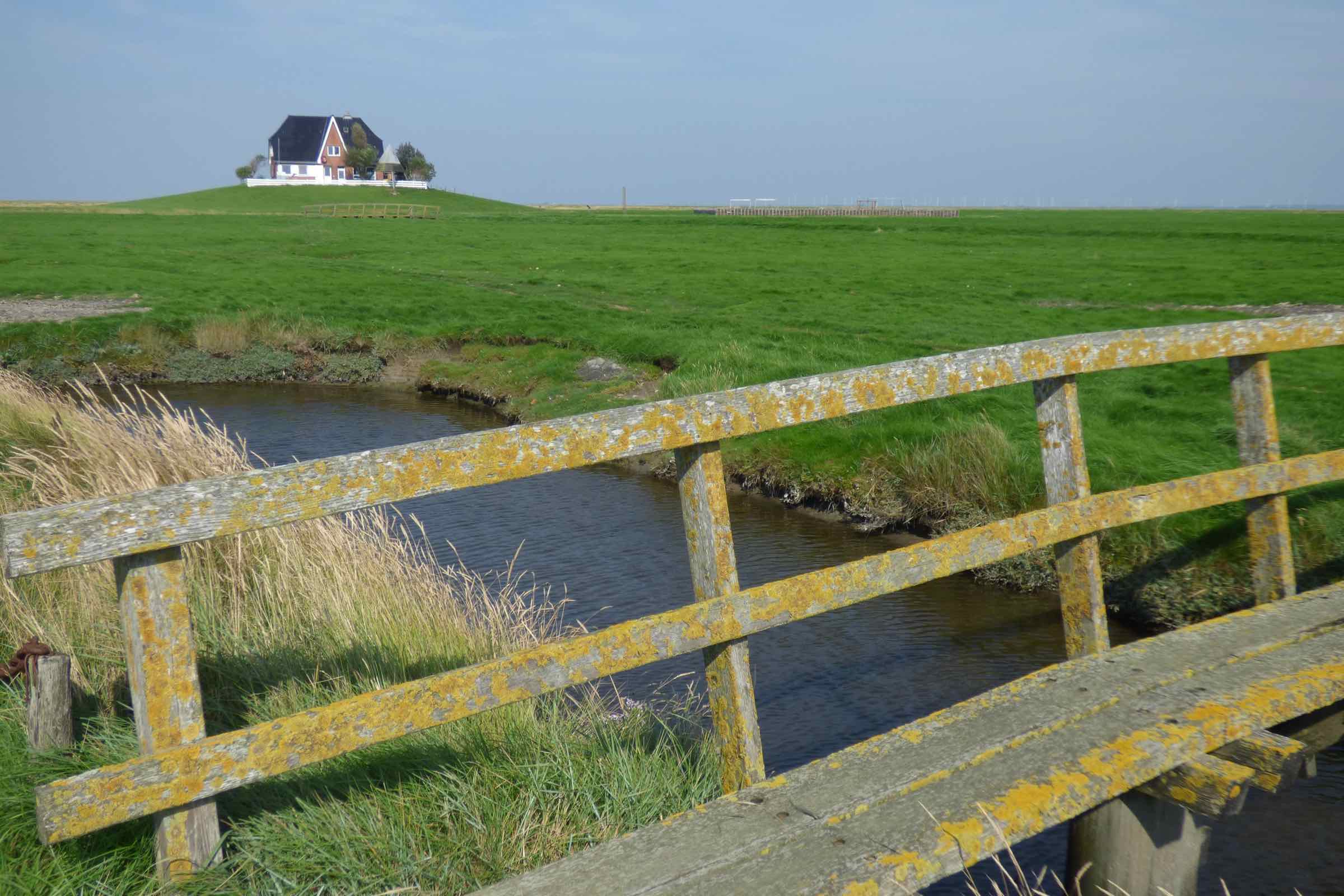 Fahren Sie mit der MS Nordfriesland nach Nordstrandischmoor und lernen Sie dort das Halligleben kennen. Nordstrandischmoor ist die jüngste der zehn Halligen und entstand 1634 bei einer großen Sturmflut.