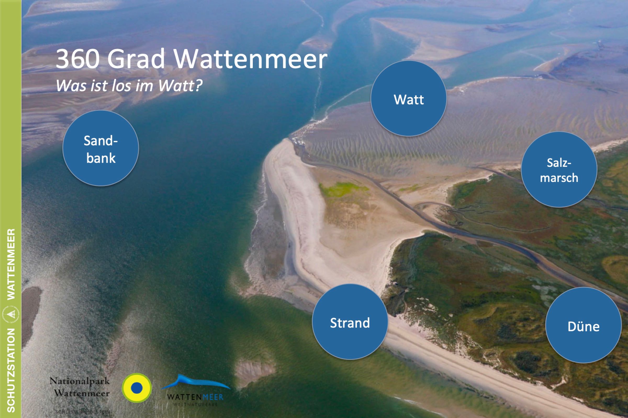 Vortrag: 360 Grad Wattenmeer - Das Watt vor Büsum