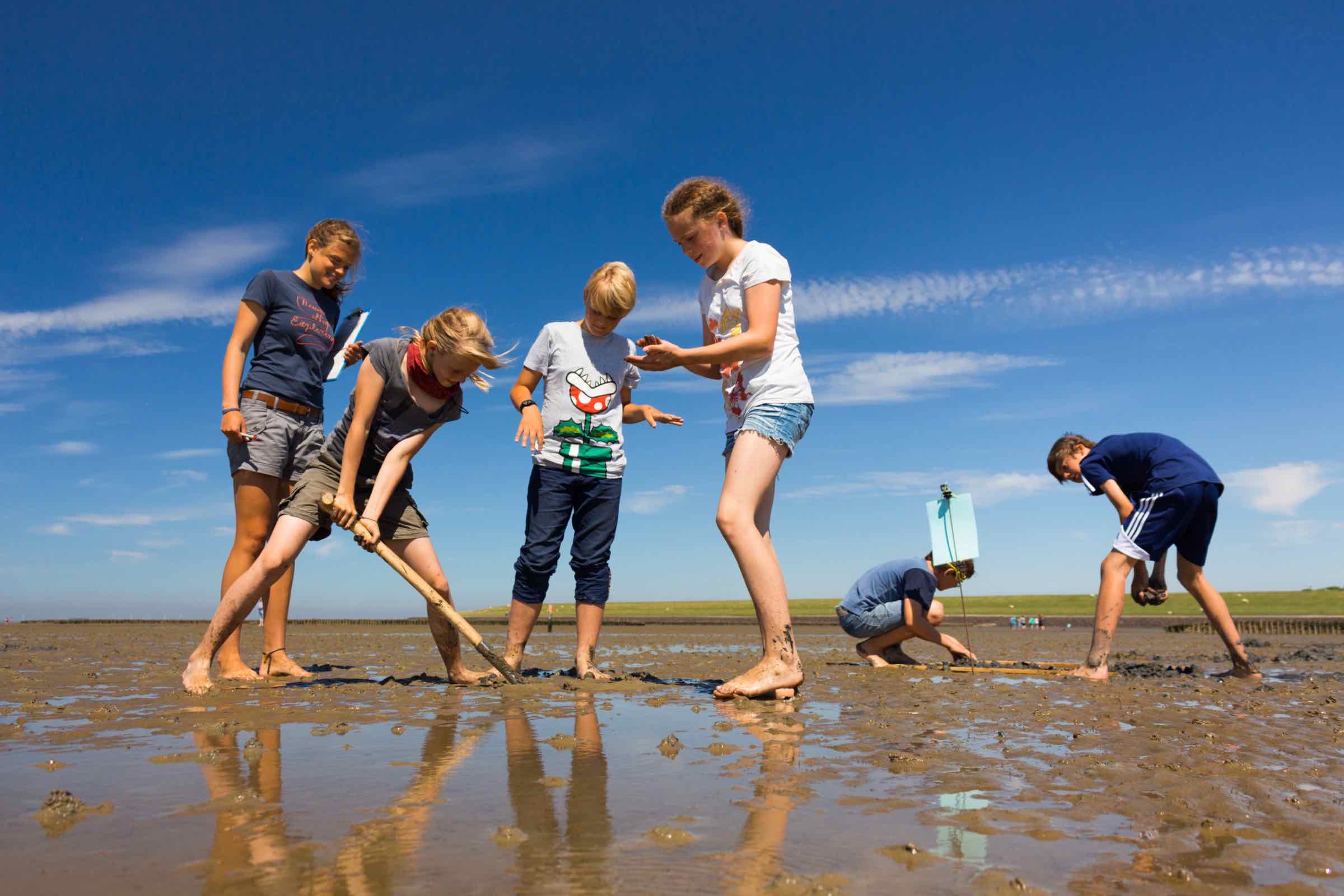 Ein Watterlebnis für Familien mit Kindern (ab 3 Jahren). Findet mit uns zwischen Wattwurmhaufen und Krabben den Schatz im Weltnaturerbe Wattenmeer!