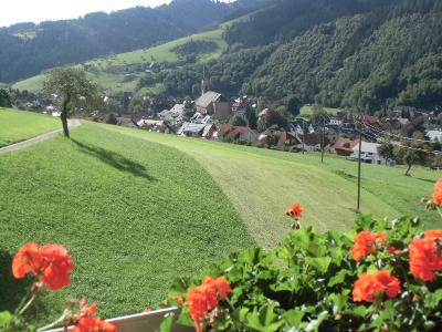 fussbuehlhof_blick_balkon