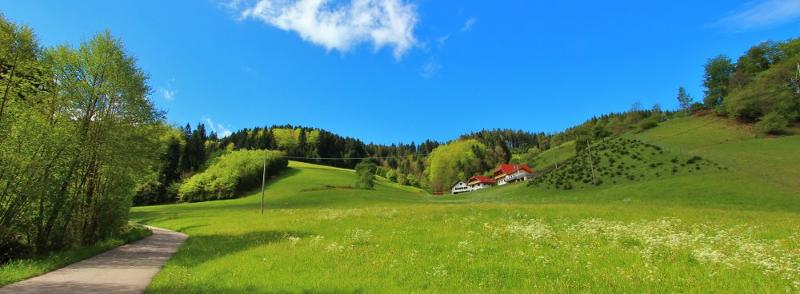 zuwaldstinneshofoberharmersbachschwarzwald