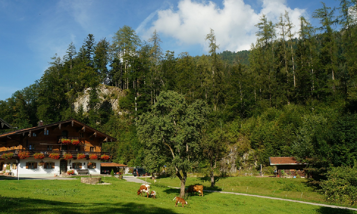 Sulzenhof (DE Ruhpolding). Ferienwohnung II 40 qm, Ferienwohnung in den Alpen