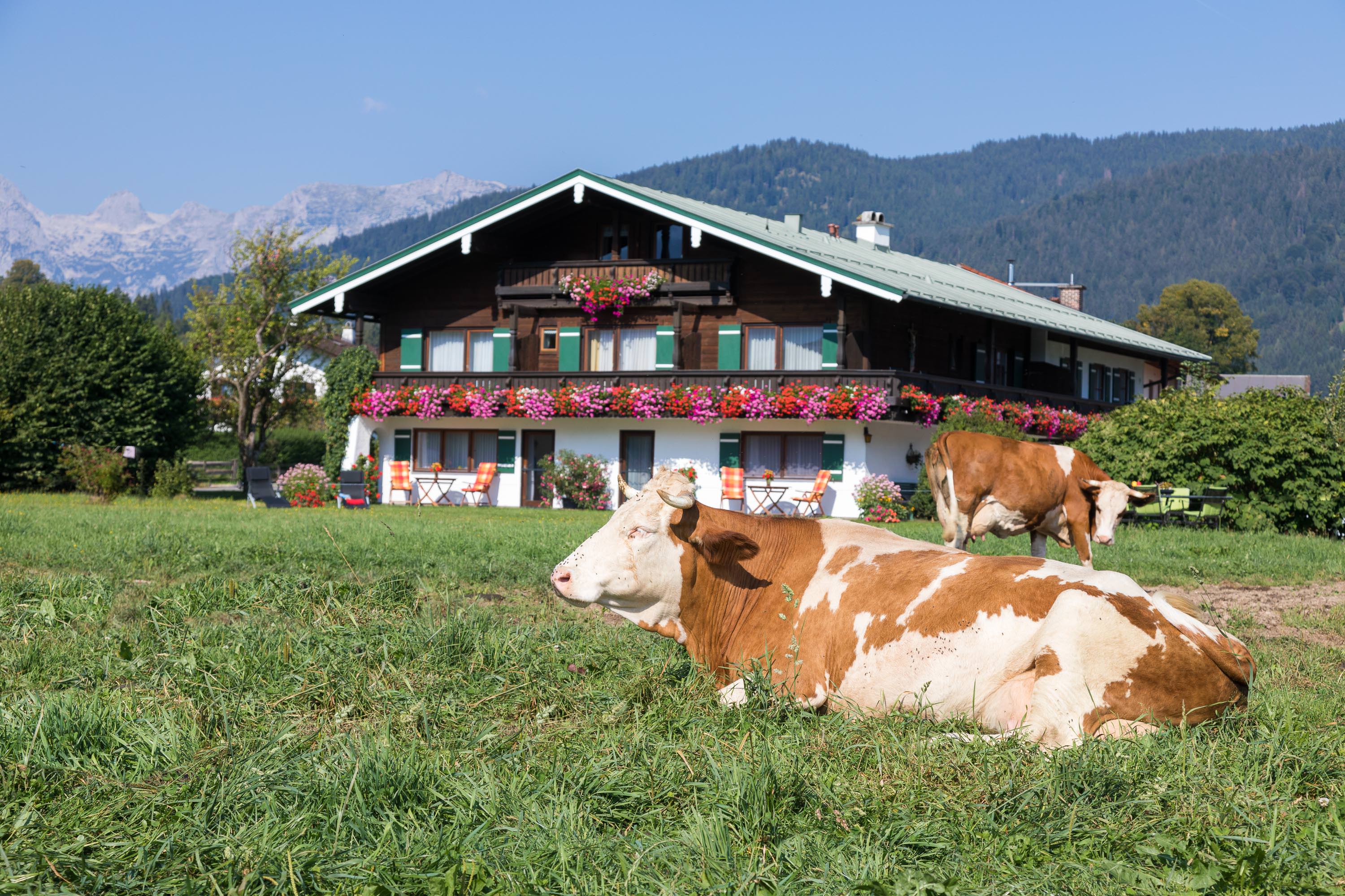 Ferienwohnung Drachllehen (DE Schönau am K&ou Ferienwohnung  Berchtesgadener Land