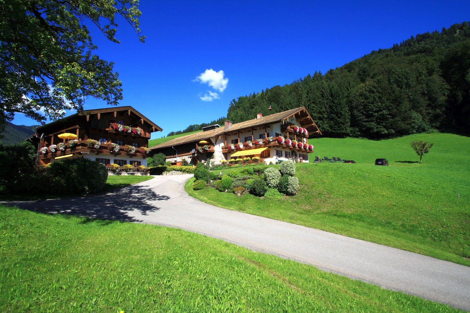 Obersteinberghof (DE Ruhpolding). Ferienwohnung Al Ferienwohnung in den Alpen