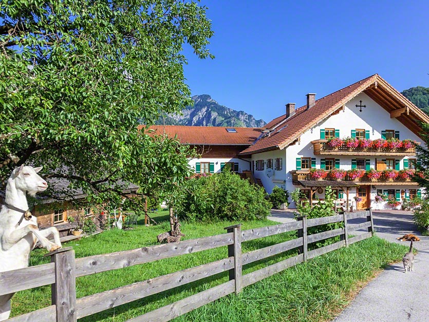 Gästehaus Pfeffererlehen (DE Marktschellenber Ferienwohnung  Berchtesgadener Land