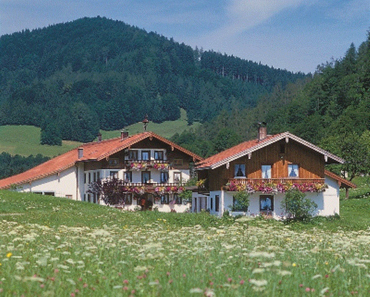 Auerhof (DE Ruhpolding). Ferienwohnung Rauschberg  Ferienwohnung  Chiemgauer Alpen
