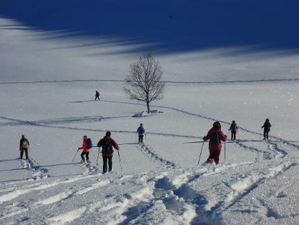 Frasdorfer Almenrunde - Einfache Schneeschuhwanderung