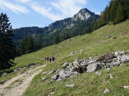 "Woid-Wanderung" - Waldkundliche Wanderung im Aschauer Bergwald