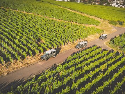 Rheingau Land Rover Weinberg Tour