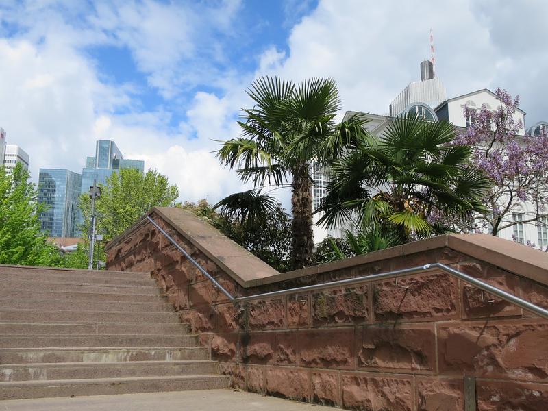 Treppenaufgang Nizza mit Palmen und Hochhäusern