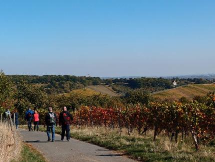 Wandern rund um Wiesbaden