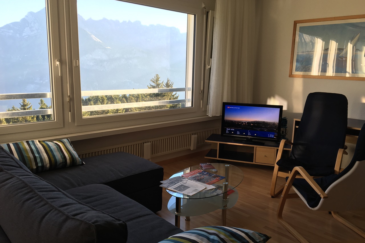 Gauenpark (Whg. Uehli). grosse 1.5 Zimmerwohnung m Ferienwohnung in der Schweiz