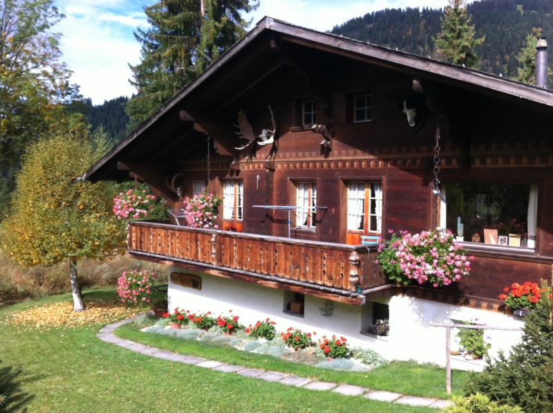 Chalet Nyati, (Gstaad).  Ferienwohnung  Gstaad