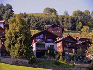 Ferienwohnung Casa Cotschna -  Ansicht Sommer