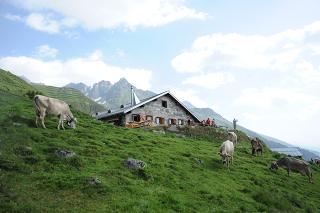 Berghütte Stalla Alp Glivers