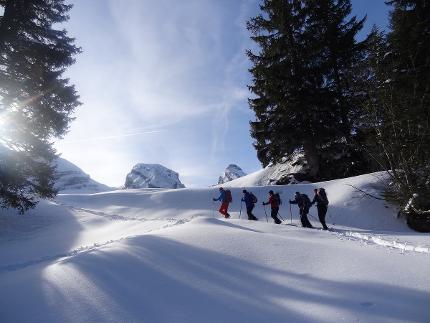 Tages-Schneeschuhtour Toggenburg