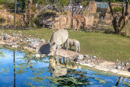 Eintritt Zoo Zürich