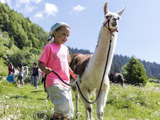 Ausflug mit Lamas / Rechteinhaber: &copy; Surselva Tourismus AG