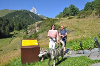 Wandern mit dem Husky / Copyright holder: &copy; Zermatt-event management GmbH