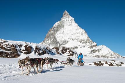 Husky Sleigh Rides in Front of the Matterhorn