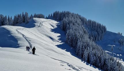 Schneeschuherlebnis Biberegg-Mostelberg Erwachsener