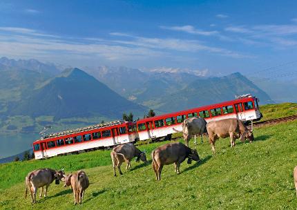 Tagesausflug auf die Rigi