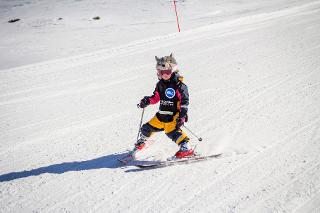 Pinguine / Copyright holder: &copy; European Snowsport Zermatt