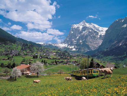 Tagesausflug Grindelwald und Interlaken 8 Uhr