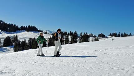 Schneeschuh Plausch Ibergeregg Schneeschuhplausch mit Fondue Erw. ohne Anreise (ohne Bus)